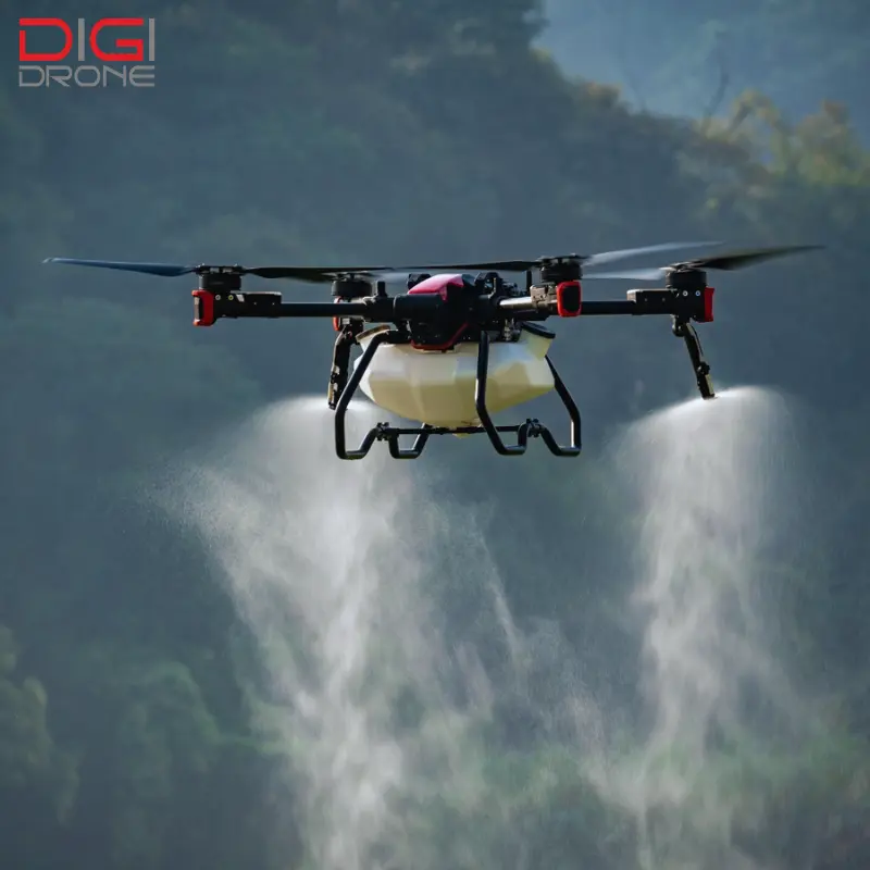 phun thuốc cho cây vú sữa