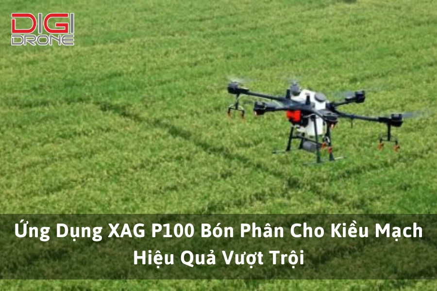 Ứng Dụng XAG P100 Bón Phân Cho Kiều Mạch Hiệu Quả Vượt Trội