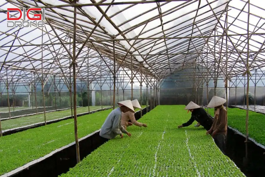 mô hình nhà kính nông nghiệp