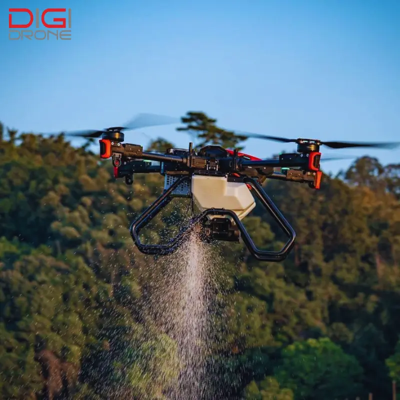 phun thuốc cho cây đu đủ phun thuốc cho cây đu đủ