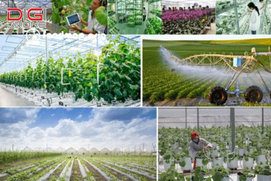 ứng dụng nông nghiệp công nghệ cao trong chăn nuôi ứng dụng nông nghiệp công nghệ cao trong chăn nuôi