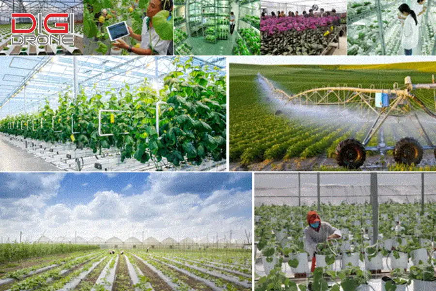 Những thách thức cần vượt qua khi triển khai công nghệ cao