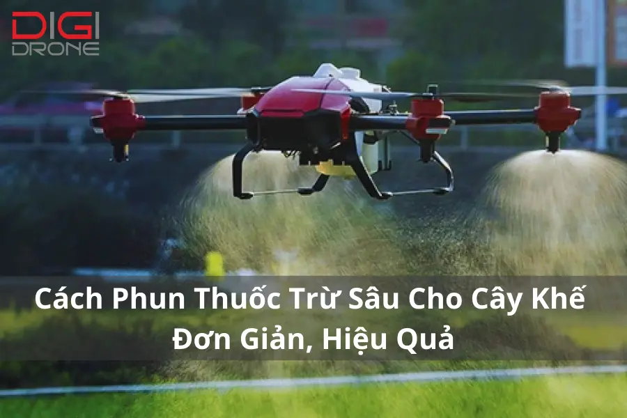 Cách Phun Thuốc Trừ Sâu Cho Cây Khế Đơn Giản, Hiệu Quả