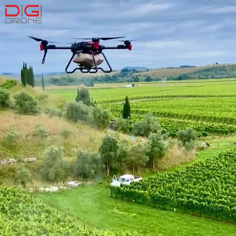 phun thuốc cho cây vú sữa