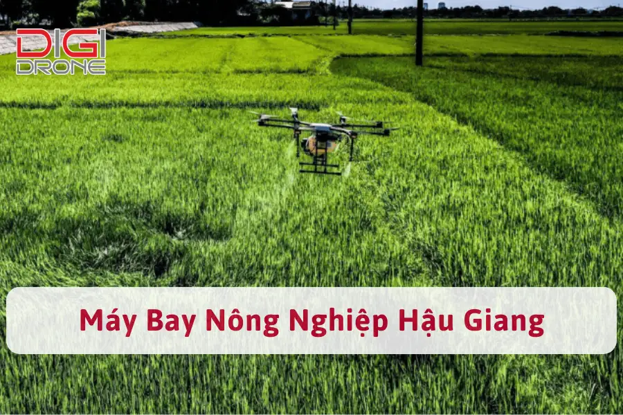 5 Địa Chỉ Mua Máy Bay Nông Nghiệp Hậu Giang Giá Tốt, Uy Tín