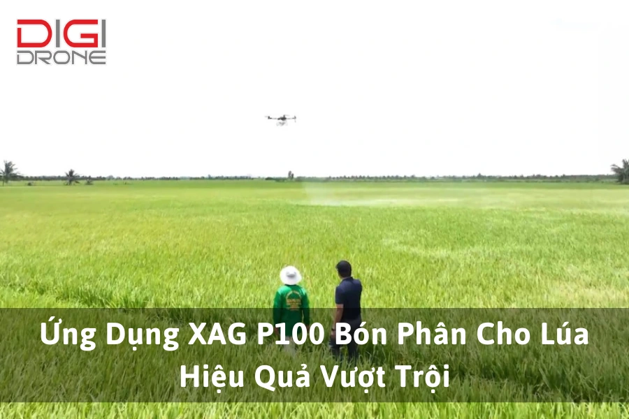 Ứng Dụng XAG P100 Bón Phân Cho Lúa Hiệu Quả Vượt Trội