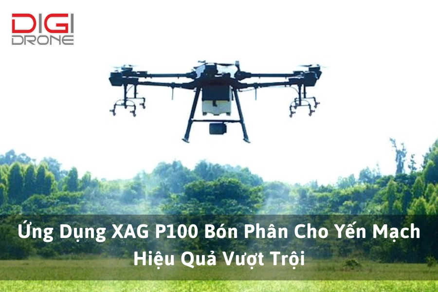 Ứng Dụng XAG P100 Bón Phân Cho Yến Mạch Hiệu Quả Vượt Trội