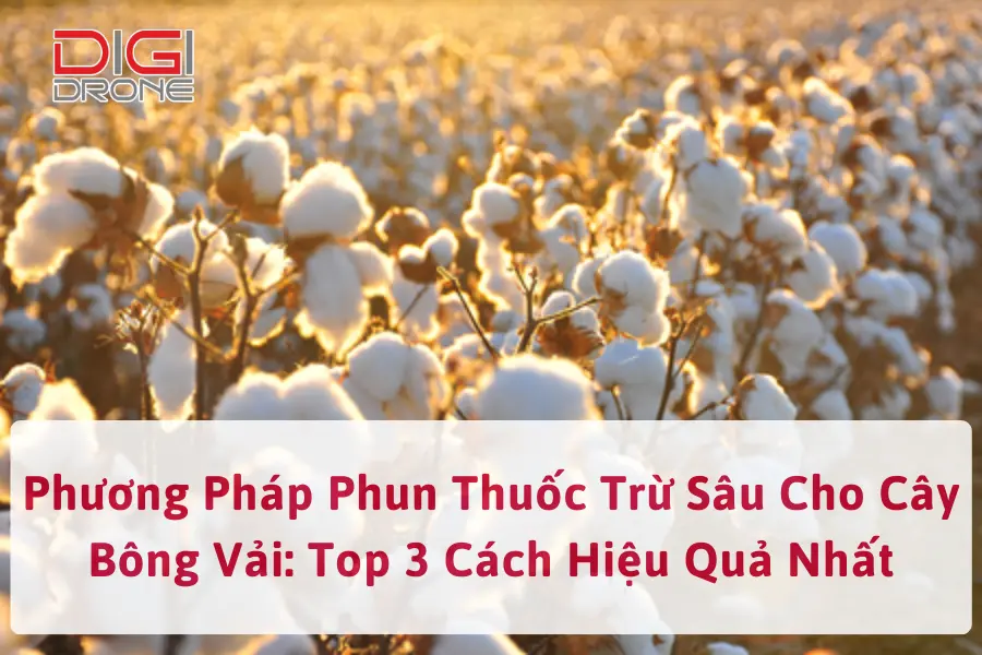 Phương Pháp Phun Thuốc Trừ Sâu Cho Cây Bông Vải: Top 3 Cách Hiệu Quả Nhất