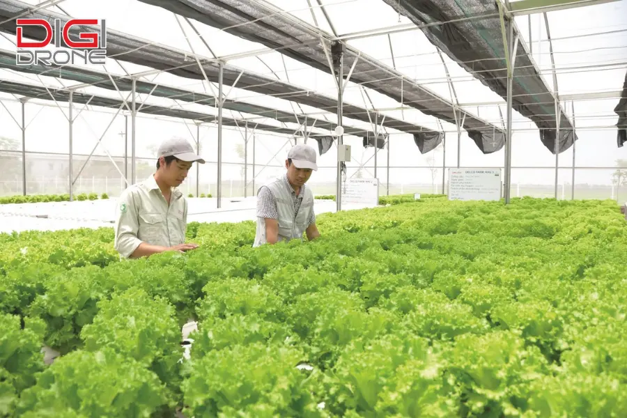 nông nghiệp sinh thái nông nghiệp sinh thái