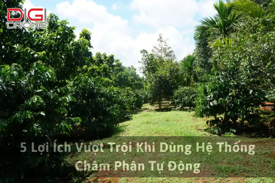 5 Lợi Ích Vượt Trội Khi Dùng Hệ Thống Châm Phân Tự Động
