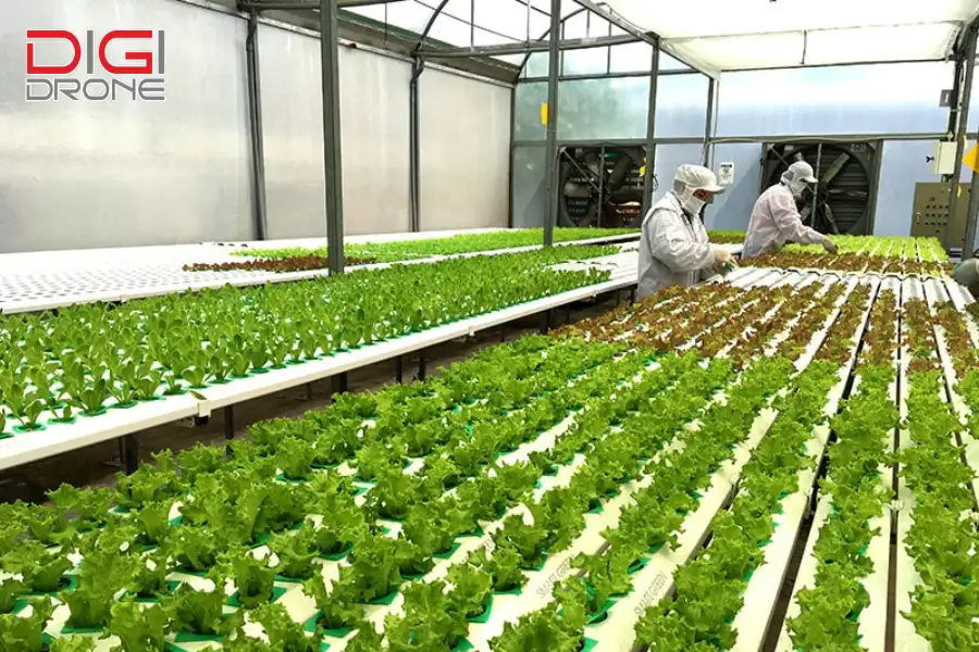 Những thách thức cần vượt qua