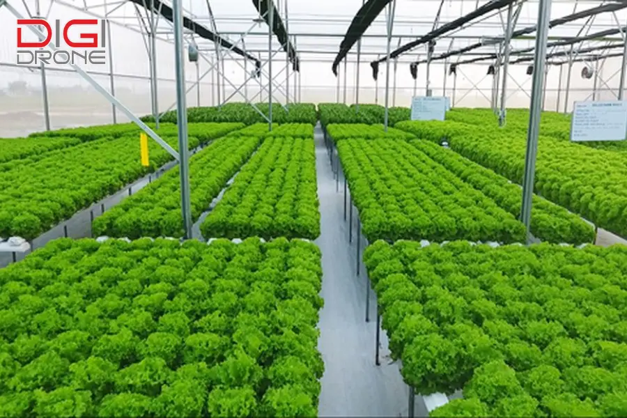 nông nghiệp sinh thái nông nghiệp sinh thái