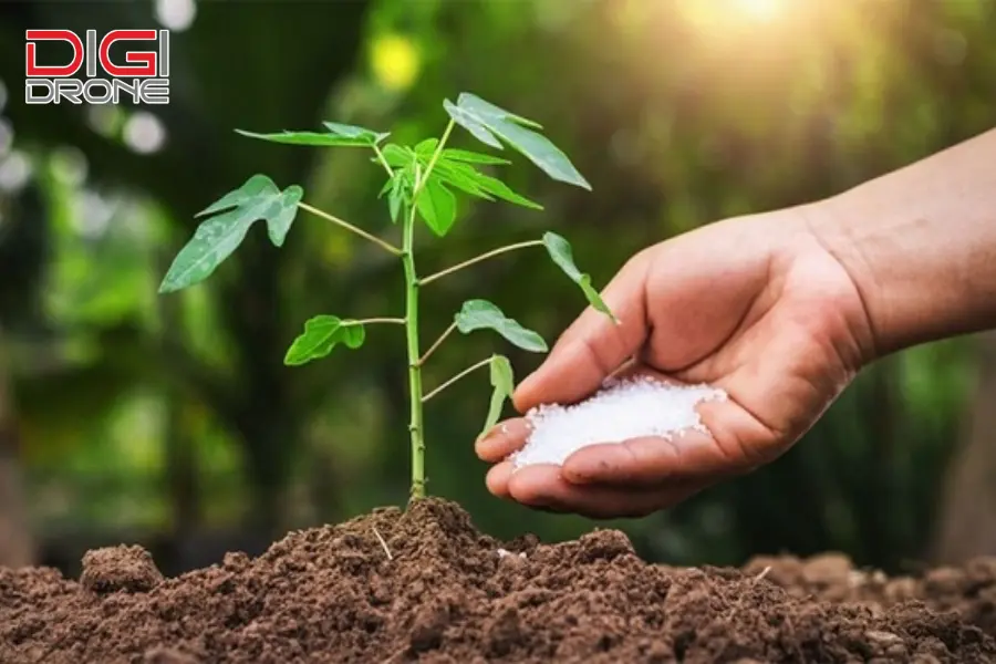 Nhận biết dấu hiệu cây thiếu dinh dưỡng qua lá