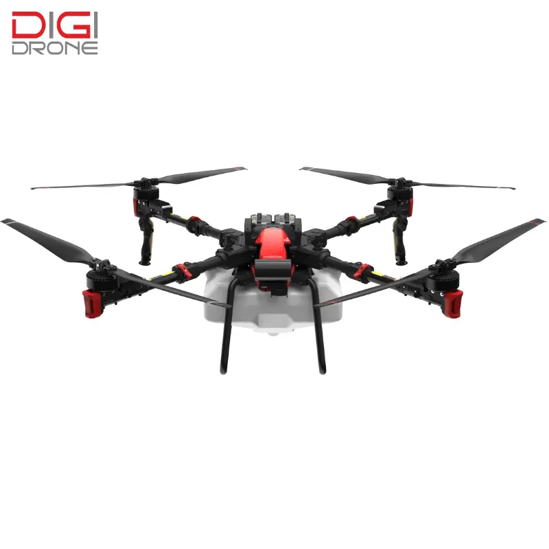 Lưu ý khi xịt thuốc cho cây cóc Lưu ý khi xịt thuốc cho cây cóc