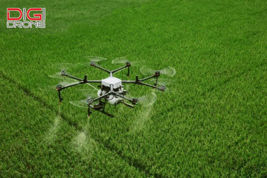 lợi ích của máy bay sạ lúa giúp tiết kiệm chi phí