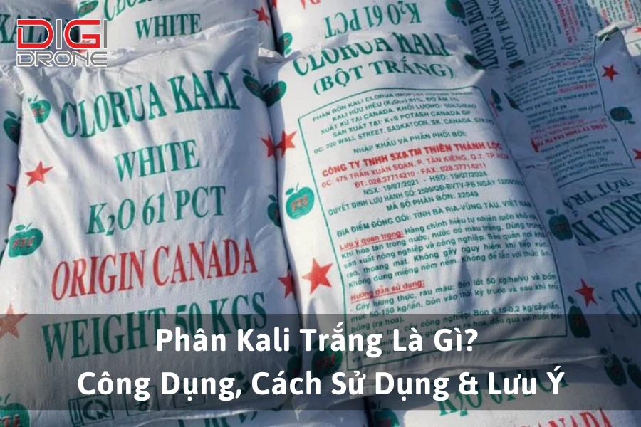 Phân Kali Trắng Là Gì? Công Dụng, Cách Sử Dụng & Lưu Ý Quan Trọng