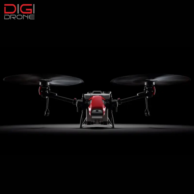 phun thuốc cho cây đu đủ phun thuốc cho cây đu đủ