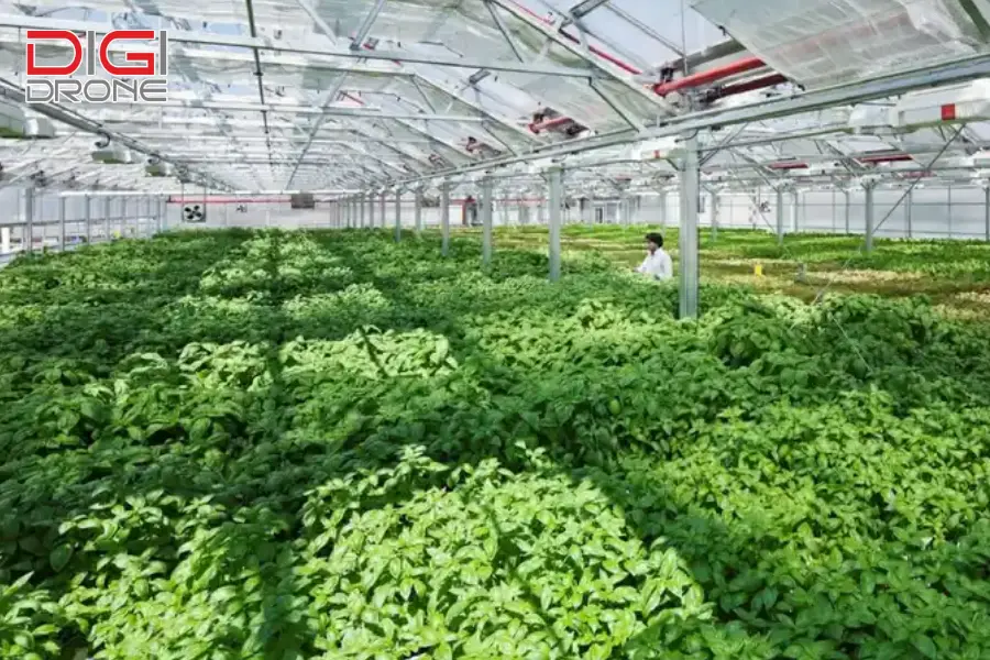nông nghiệp 4.0 ở Việt Nam