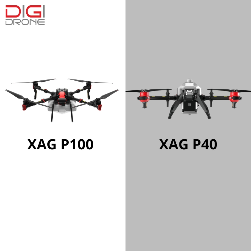 so sánh XAG P100 và XAG P40