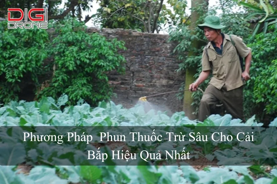 Phương Pháp  Phun Thuốc Trừ Sâu Cho Cải Bắp Hiệu Quả Nhất