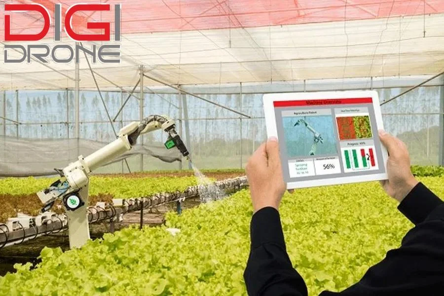 mô hình nông nghiệp công nghệ cao trên thế giới
