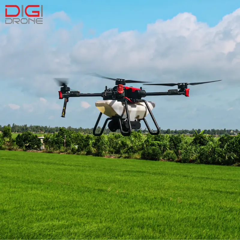 Cách pha chế và phun thuốc cho cây khế đúng kỹ thuật