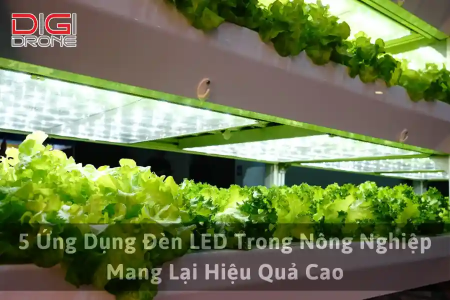 5 Ứng Dụng Đèn LED Trong Nông Nghiệp Mang Lại Hiệu Quả Cao