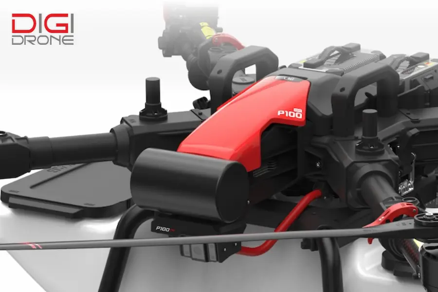 ứng dụng xag p100 bón phân cho khoai sọ ứng dụng xag p100 bón phân cho khoai sọ
