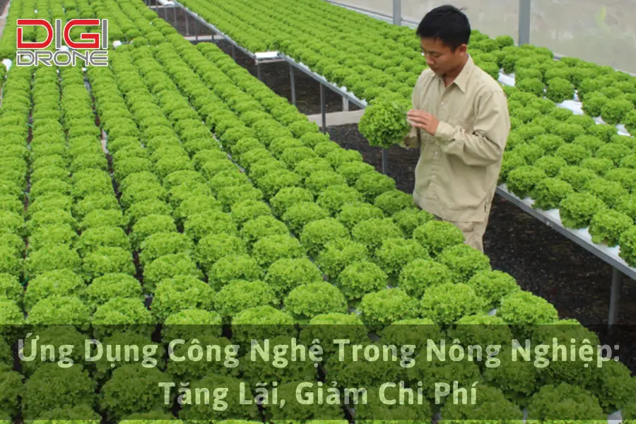 Ứng Dụng Công Nghệ Trong Nông Nghiệp: Tăng Lãi, Giảm Chi Phí
