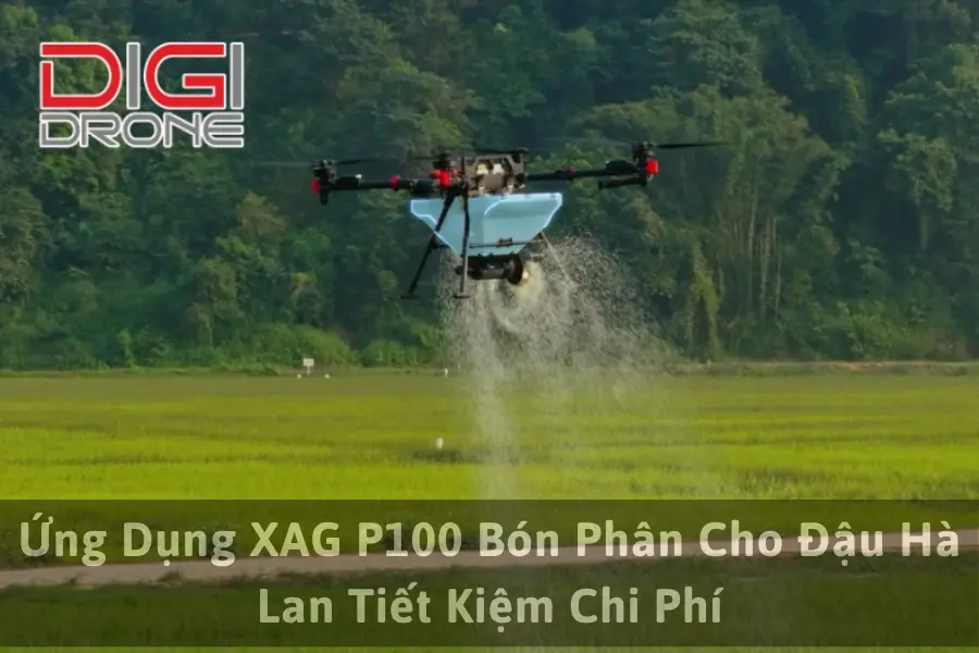 Ứng Dụng XAG P100 Bón Phân Cho Đậu Hà Lan Tiết Kiệm Chi Phí