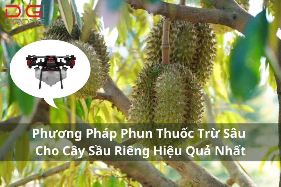 Phương Pháp Phun Thuốc Trừ Sâu Cho Cây Sầu Riêng Hiệu Quả Nhất