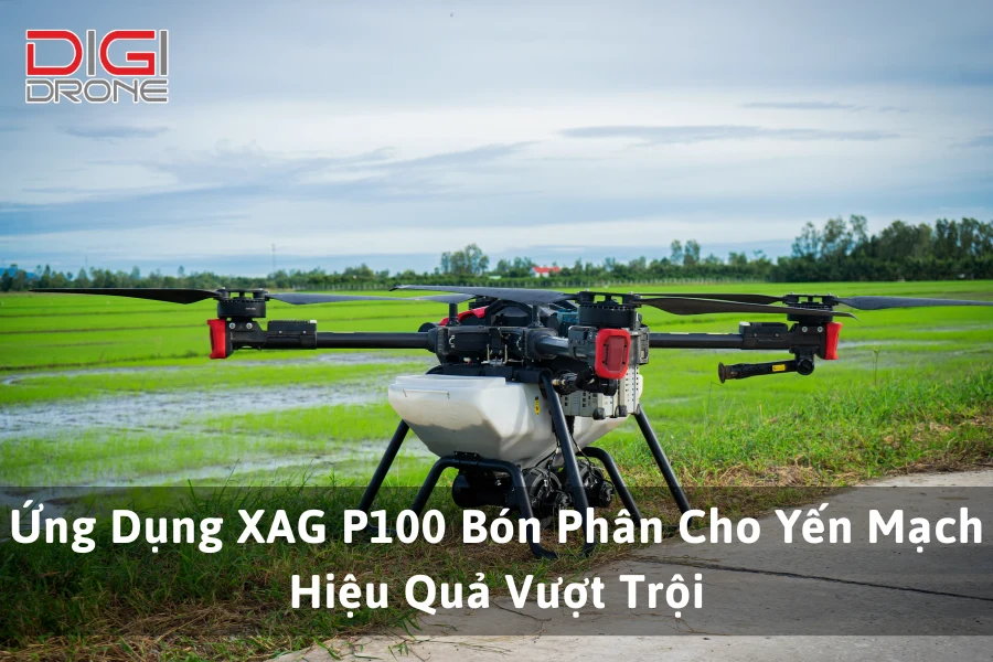 Ứng Dụng XAG P100 Bón Phân Cho Yến Mạch Hiệu Quả Vượt Trội