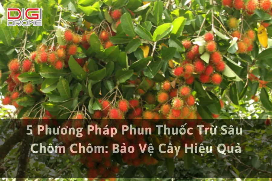 5 Phương Pháp Phun Thuốc Trừ Sâu Chôm Chôm: Bảo Vệ Cây Hiệu Quả