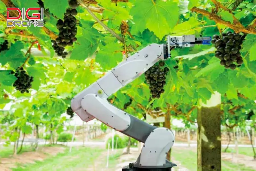 robot nông nghiệp