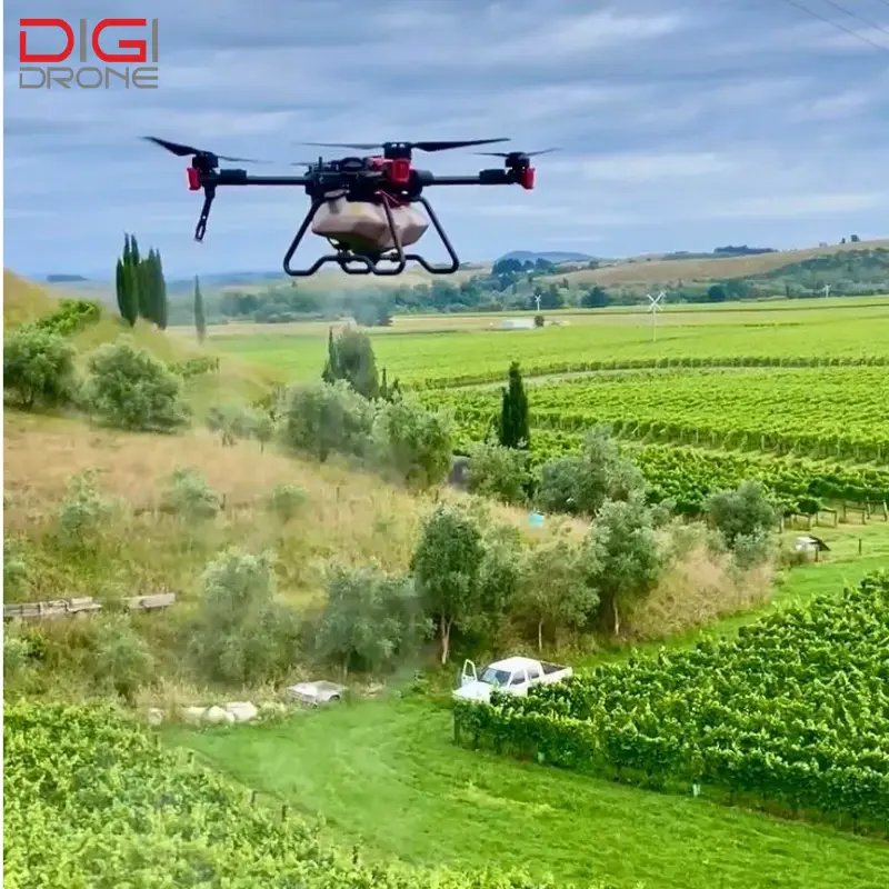 phun thuốc cho cây khế