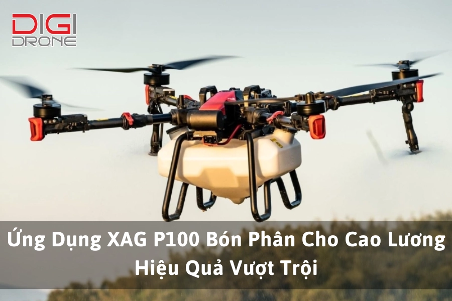 Ứng Dụng XAG P100 Bón Phân Cho Cao Lương Hiệu Quả Vượt Trội