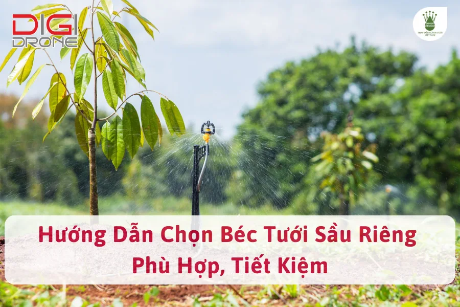 Hướng Dẫn Chọn Béc Tưới Sầu Riêng Phù Hợp, Tiết Kiệm