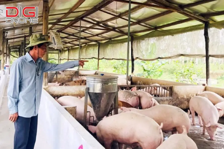 Tương lai của nông nghiệp công nghệ cao trong chăn nuôi Tương lai của nông nghiệp công nghệ cao trong chăn nuôi