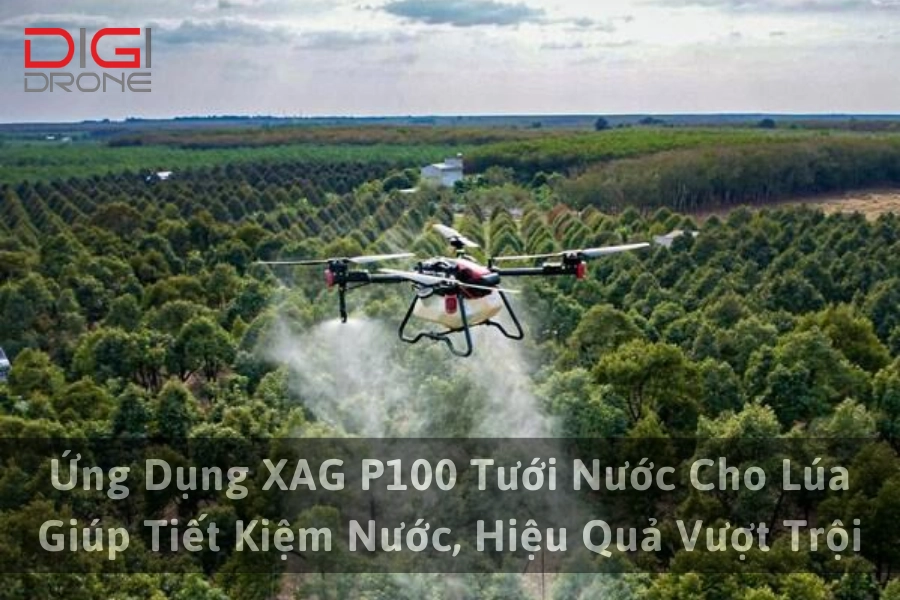 Ứng Dụng XAG P100 Tưới Nước Cho Lúa Giúp Tiết Kiệm Nước, Hiệu Quả Vượt Trội