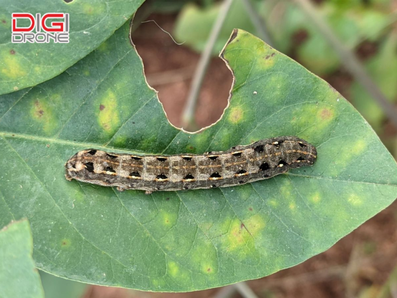 Phòng ngừa sâu khoang tái phát bền vững