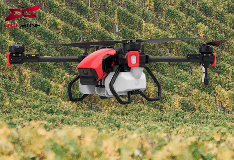 Hiện đại hóa nông nghiệp là gì? đặc trưng & xu hướng