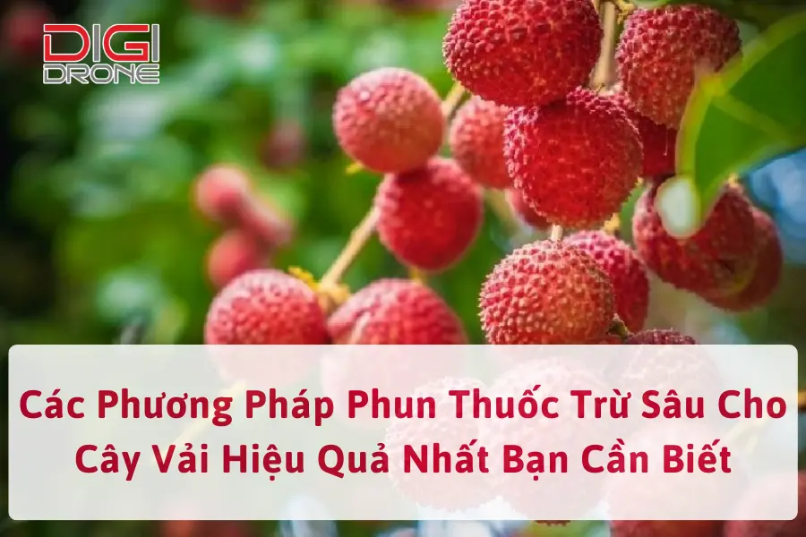 Các Phương Pháp Phun Thuốc Trừ Sâu Cho Cây Vải Hiệu Quả Nhất Bạn Cần Biết