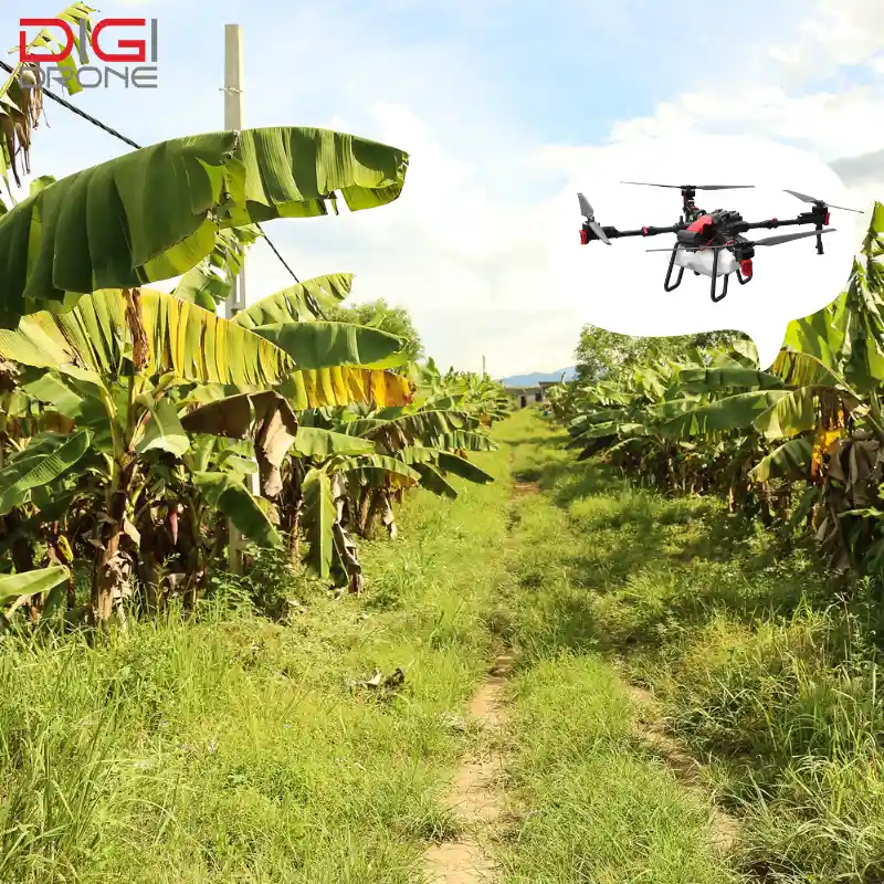 Kỹ thuật phun thuốc trừ sâu bằng drone