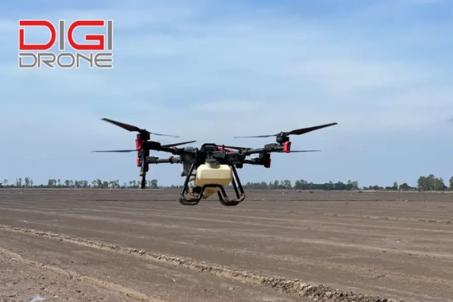 Những lợi ích khi bón phân khoai sọ bằng XAG P100 Những lợi ích khi bón phân khoai sọ bằng XAG P100