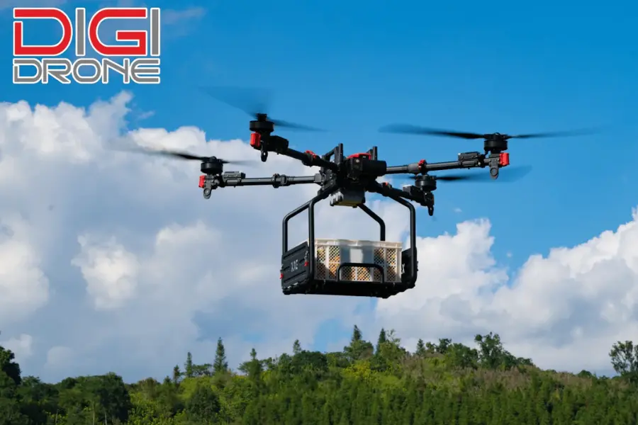 So sánh bón phân khoai sọ bằng XAG P100 và phương pháp truyền thống So sánh bón phân khoai sọ bằng XAG P100 và phương pháp truyền thống