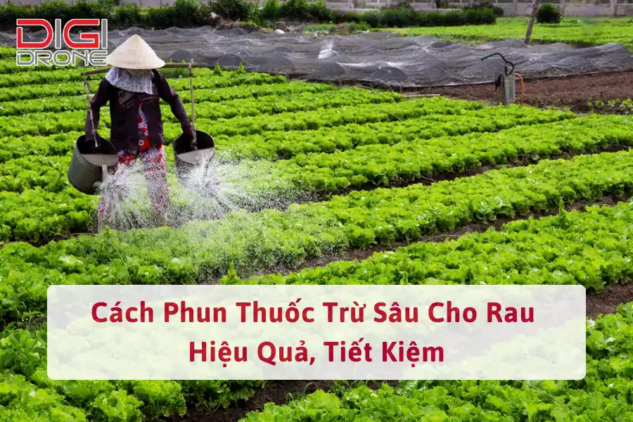 Cách Phun Thuốc Trừ Sâu Cho Rau Hiệu Quả, Tiết Kiệm