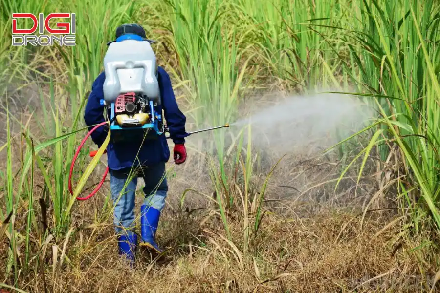 Lựa chọn thuốc trừ sâu phù hợp