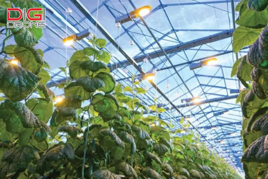 ứng dụng đèn led trong nông nghiệp