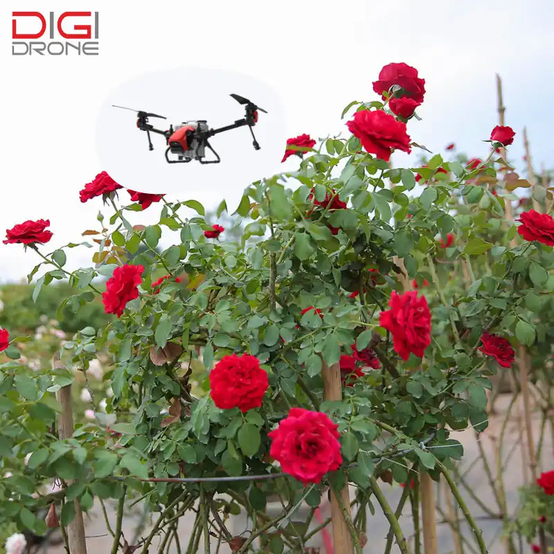 Kỹ thuật phun thuốc trừ sâu bằng drone