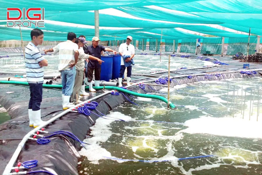 Thách thức khi ứng dụng ứng dụng nông nghiệp công nghệ cao trong nuôi trồng thuỷ sản